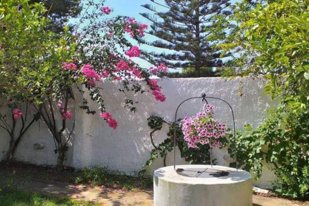 Villa Mozia Riserva Dello Stagnone Marsala Eksteriør bilde